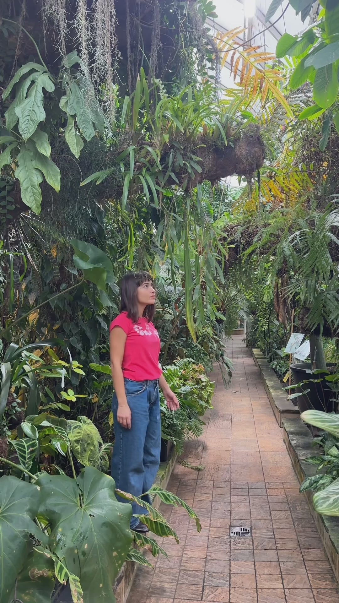 Catlove Cap Sleeve fuchsia